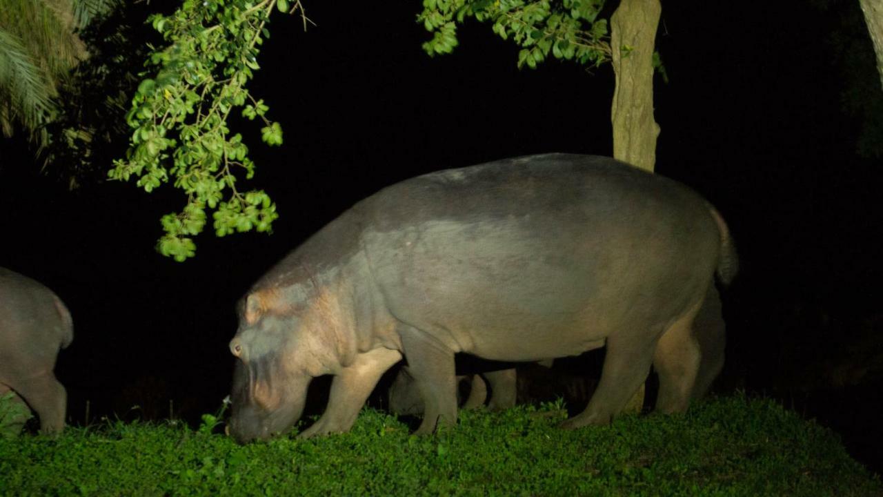 Kwalucia Private Safari Retreat Hotel Japaratinga Ngoại thất bức ảnh