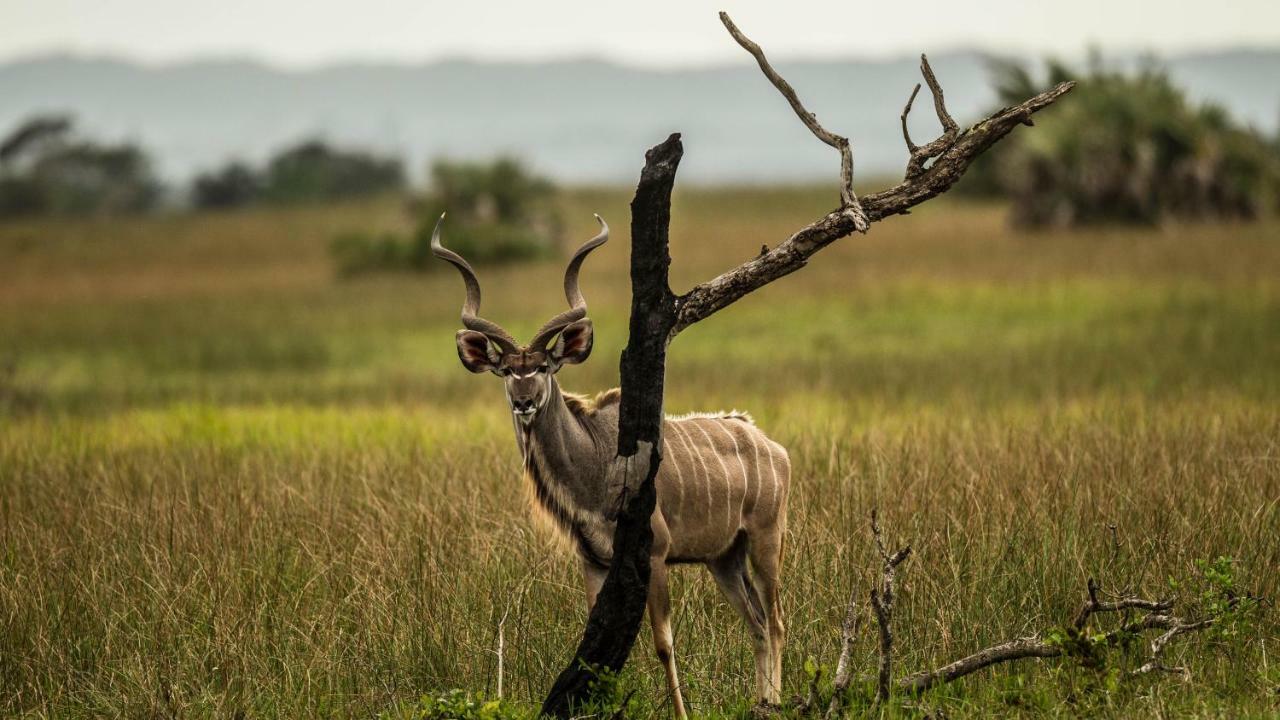 Kwalucia Private Safari Retreat Hotel Japaratinga Ngoại thất bức ảnh