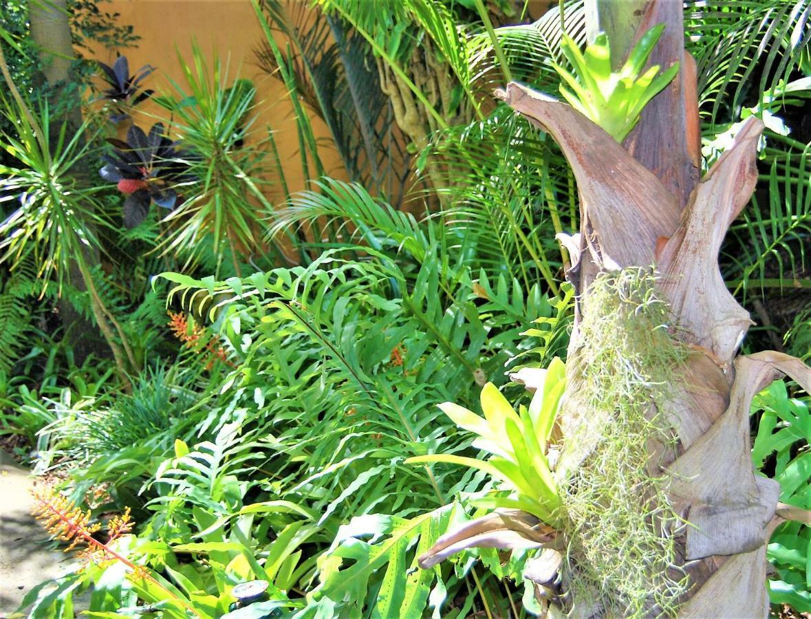 Kwalucia Private Safari Retreat Hotel Japaratinga Ngoại thất bức ảnh