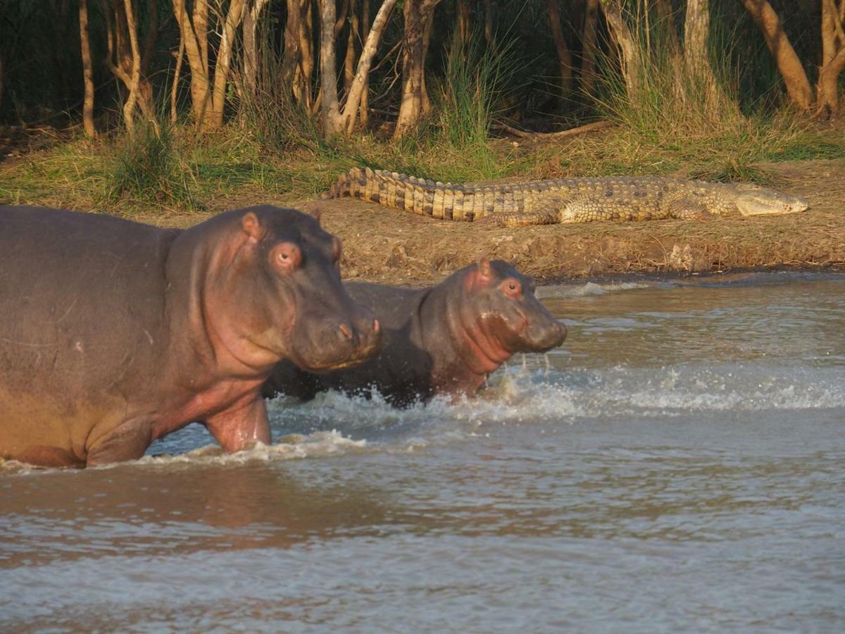 Kwalucia Private Safari Retreat Hotel Japaratinga Ngoại thất bức ảnh