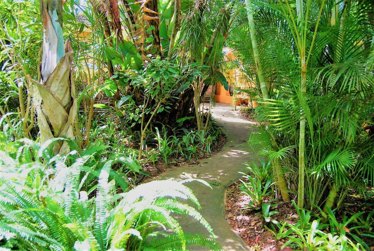 Kwalucia Private Safari Retreat Hotel Japaratinga Ngoại thất bức ảnh